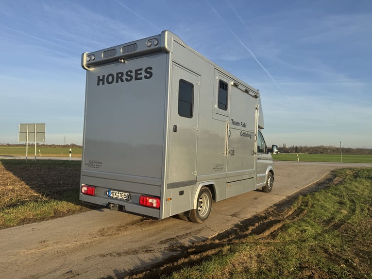 Crafter 50 Dickenherr Paardenwagen transporter