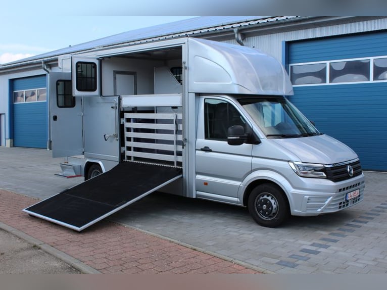Crafter 50 Dickenherr Paardenwagen transporter