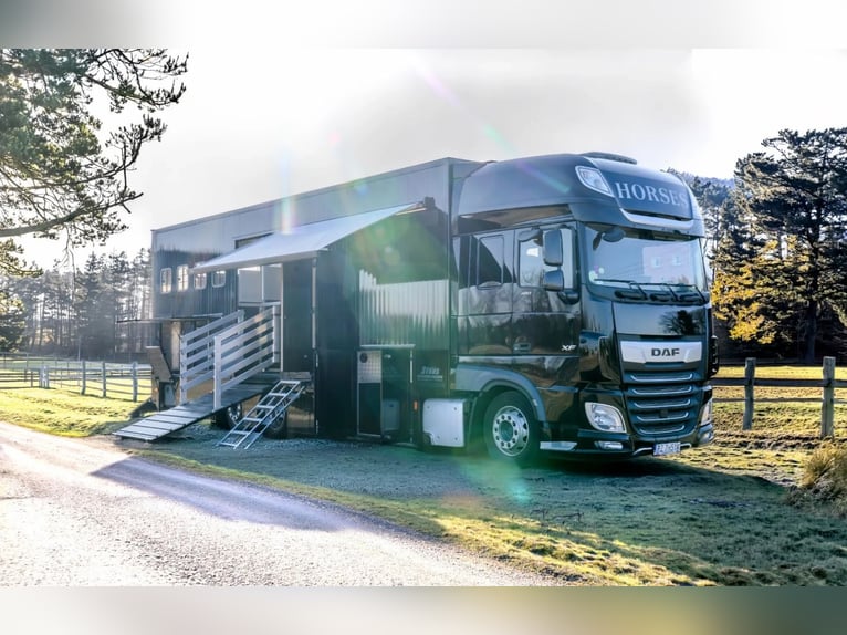 DAF XF 480 2021 + Nieuwe carrosserie in 2026, PREMIUM, geregistreerd voor 4 personen