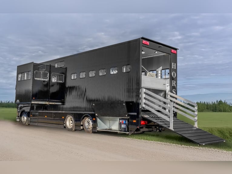 DAF XF 480 2021 + Nieuwe opbouw 2026 PREMIUM, geregistreerd voor 4 personen