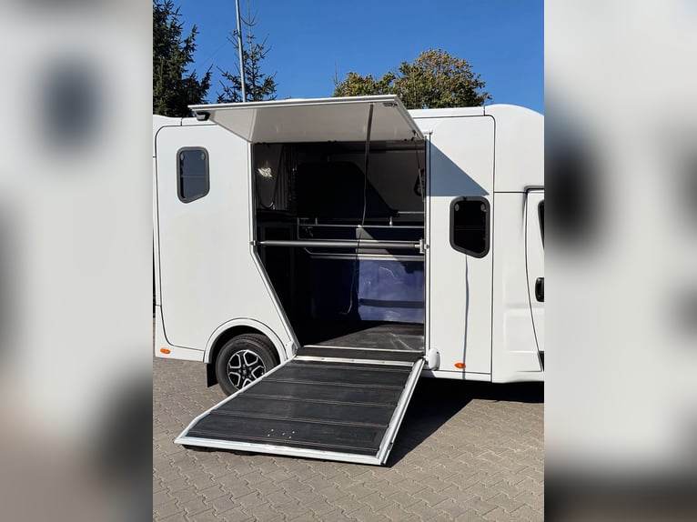 FIAT DUCATO / PONY'S