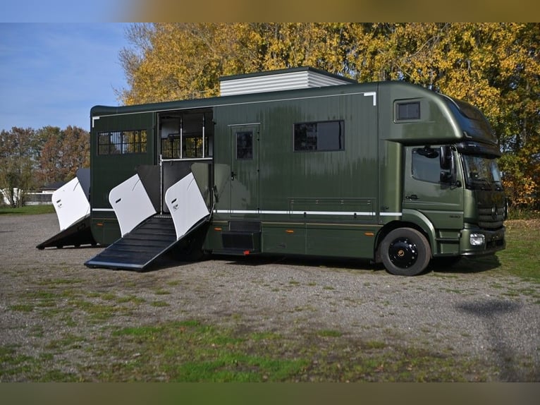 Luxe Mercedes Atego 15/300 – 5-paardenwagen met uitschuif- en opklapfunctie