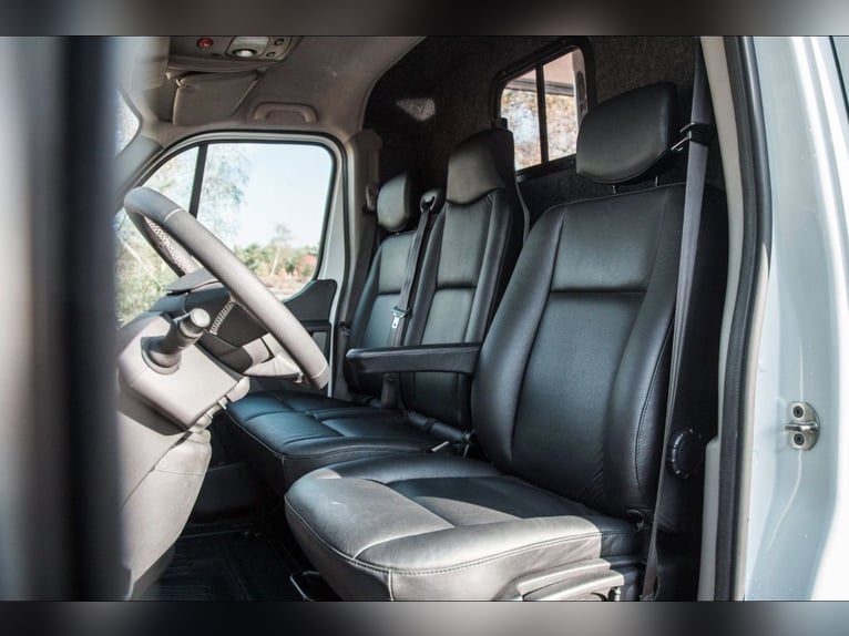 Luxe paardenvrachtwagen renault master