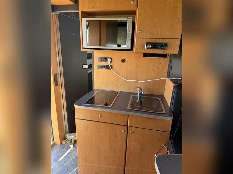 Mercedes Actros paardentransporter voor 6 paarden met woonruimte