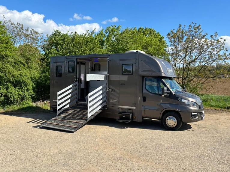 Paardentransporter Iveco Daily | Paardenwagen | tolvrij | NIEUW APK
