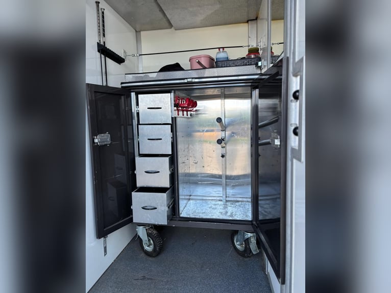 Paardentransporter Iveco Daily | Paardenwagen | tolvrij | NIEUW APK