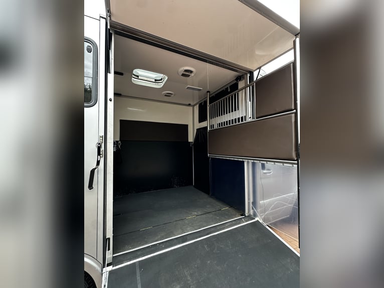 Paardentransporter Mercedes-Benz