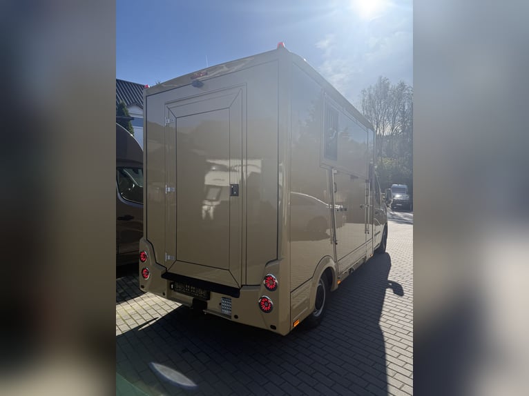 Renault Master 2022 | Nieuwe 5-persoons paardenvrachtwagen voor hengst