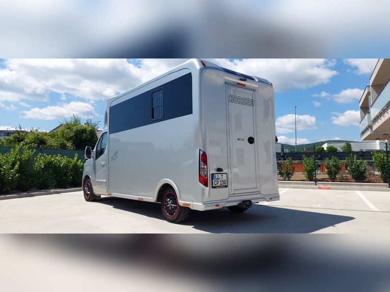 🚚 Renault Master JL Mini | 180 pk Automaat | Exclusieve paardetransporter voor 1-2 paarden | HARAS-