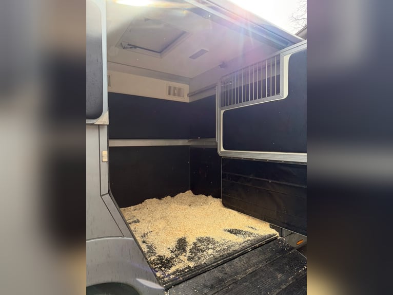 STX Opel Movano Luxe | 5-zits en top-slaapwagen | Lederen interieur | 3,5 ton (klasse B)