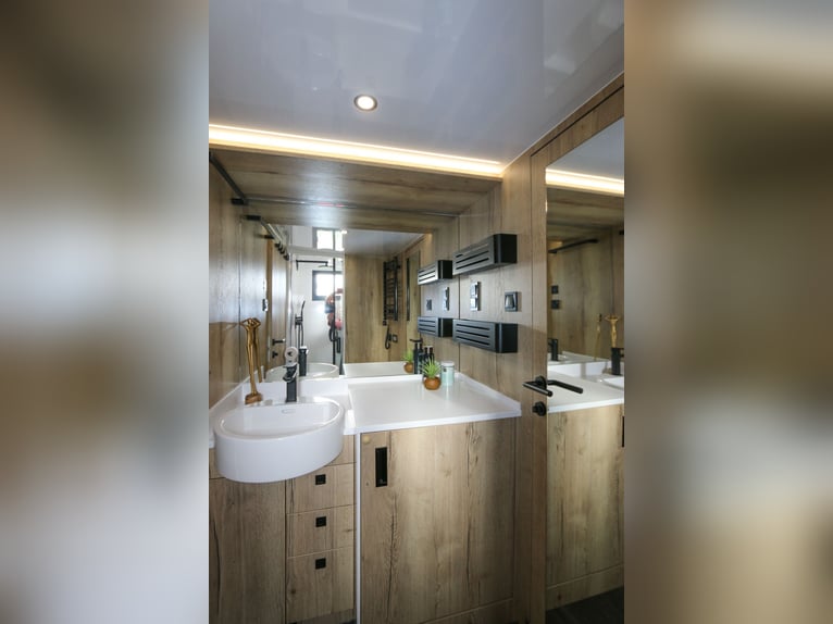 Te koop: Volvo vrachtwagen met 5 paarden en 560 pk, volledig uitgerust