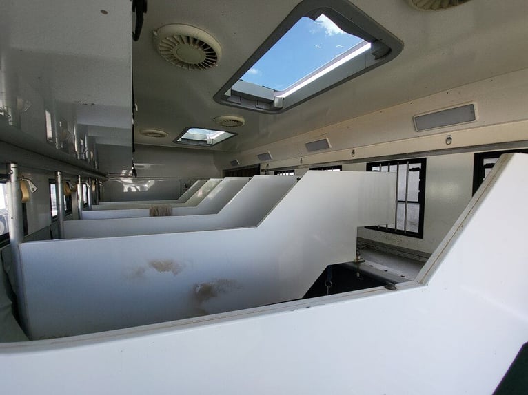 Mercedes-Benz Actros 2551 Horse Truck + Living (2017) —  5–6 horses — 23.236 km — Euro 6 Mercedes-Benz Actros 2551 Horse Truck + Living (2017) —  5–6 horses — 23.236 km — Euro 6