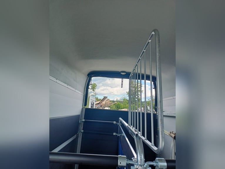 Cheval Liberté Gold 3-paards trailer voor twee paarden met Pullman 2-ophanging