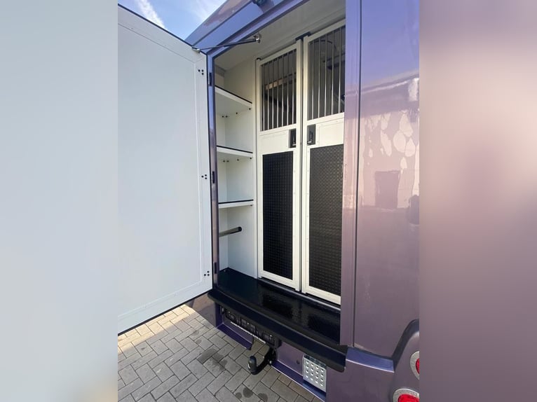 Paardentransporter Opel Movano 3,5 ton, 2 plaatsen, bouwjaar 2021