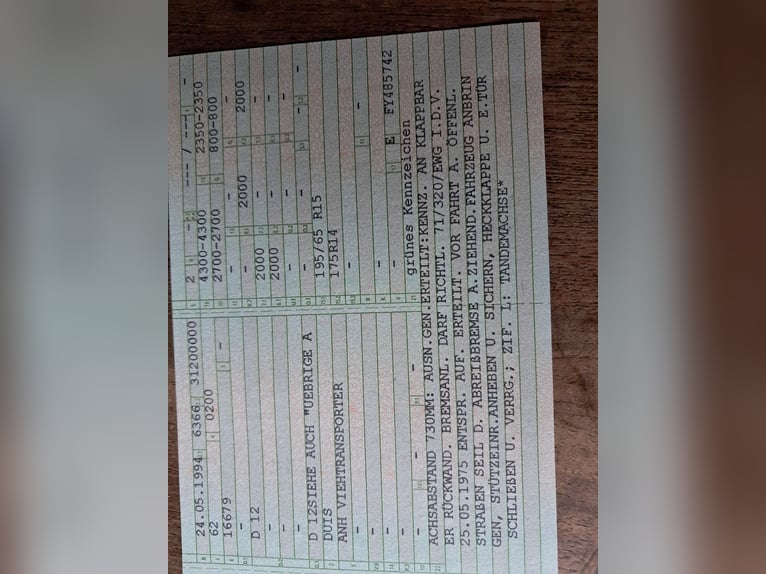 Pferdeanhänger mit Lebenserfahrung und top fit 