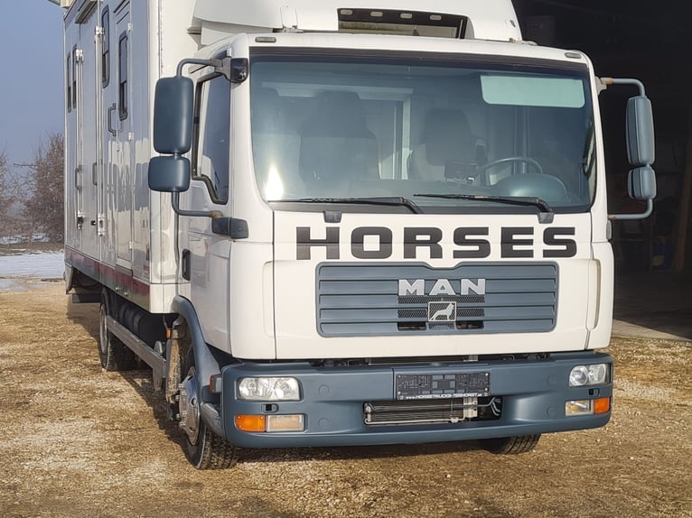 Pferdetransporter LKW MAN TGL8.180