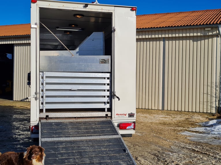 Pferdetransporter LKW MAN TGL8.180