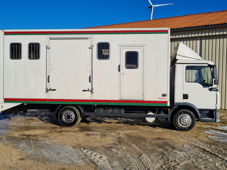 Pferdetransporter LKW MAN TGL8.180