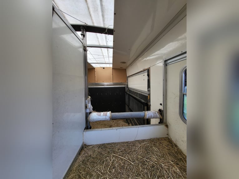 Renault dci120 Pferdetransporter