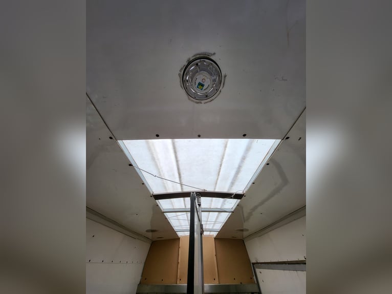 Renault dci120 Pferdetransporter