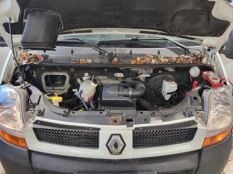 Renault dci120 Pferdetransporter