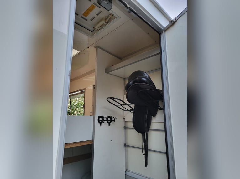 Renault dci120 Pferdetransporter