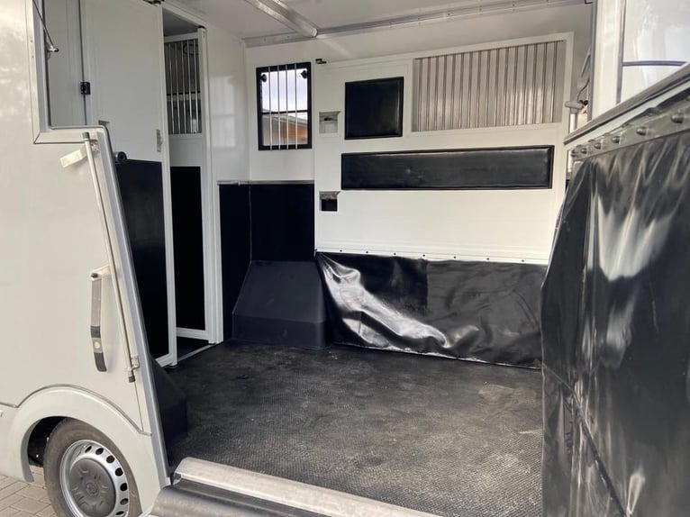 Renault Master paardentransporter