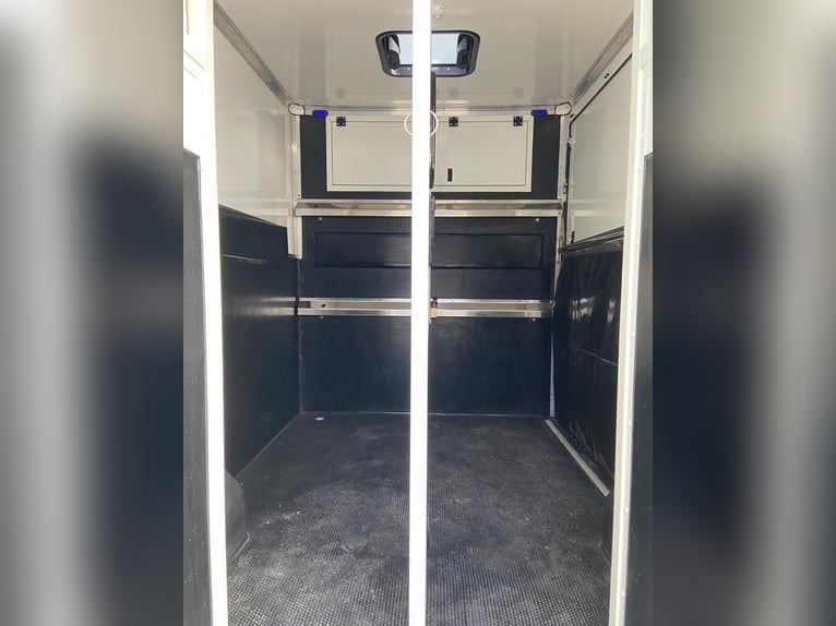 Renault Master paardentransporter