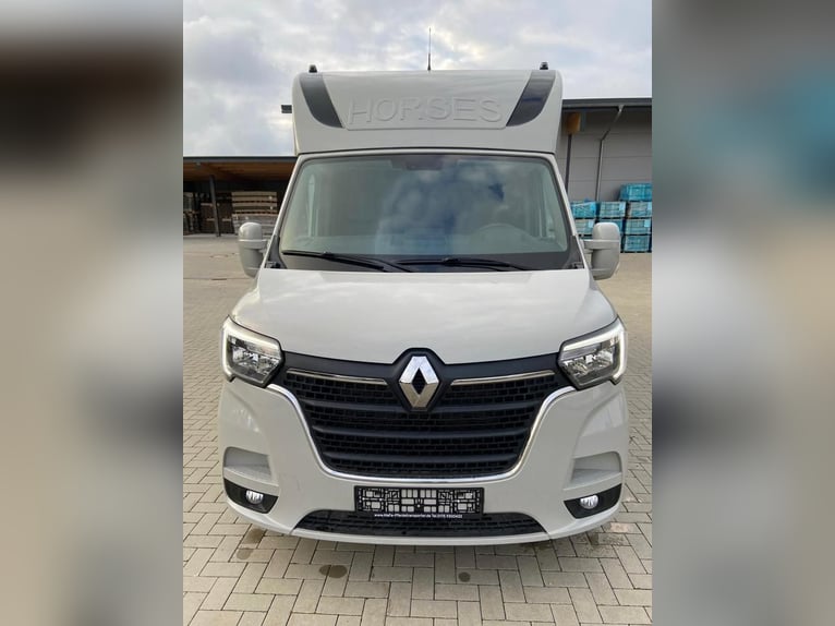 Renault Master paardentransporter