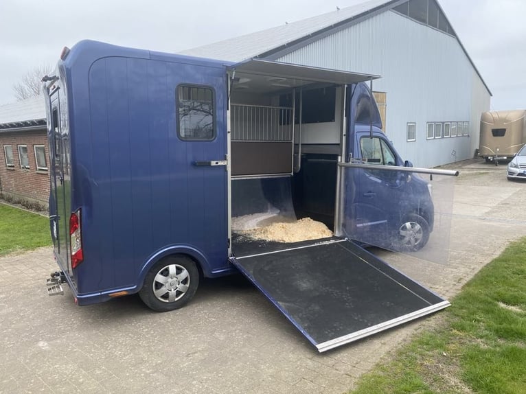 Renault Master Zwei-Pferdetransporter
