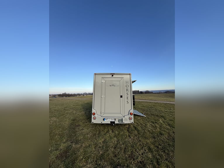 Renault Pferde-Sprinter – 2-Pferde