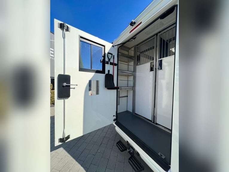 Renault STX direct beschikbaar! Automaatversnelling