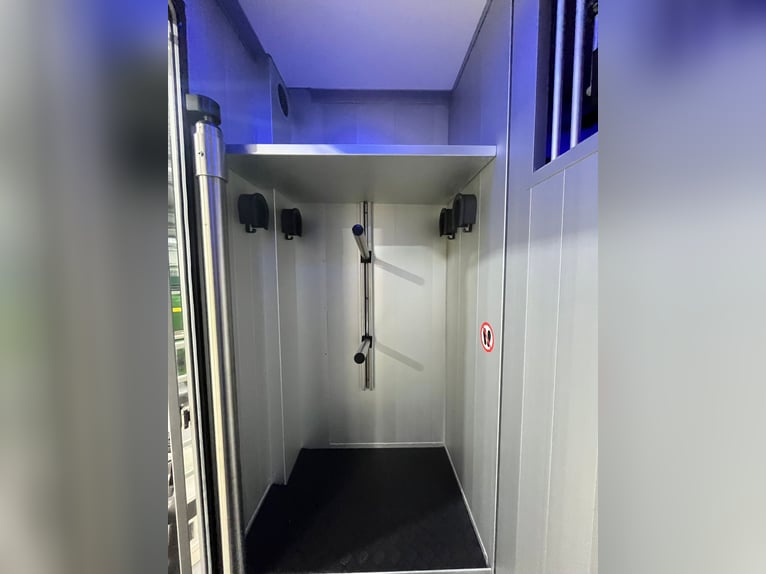 Roelofsen, Renault, Parados Sport, Top Zustand