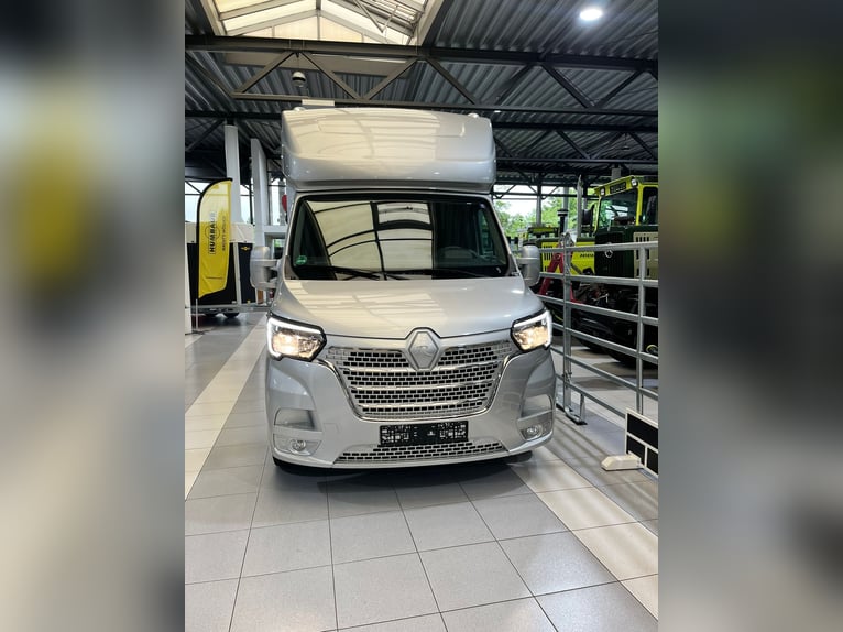 Roelofsen, Renault, Parados Sport, Top Zustand