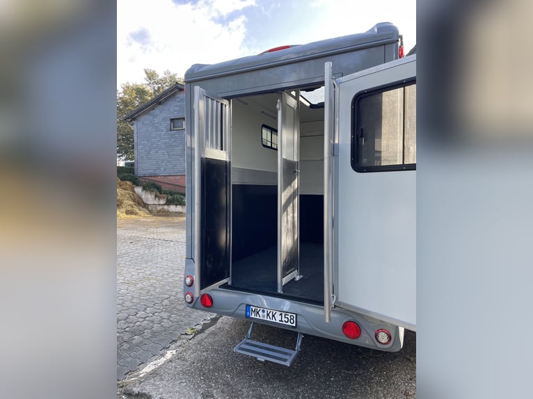 Steinsberger Anka 2 neues Model