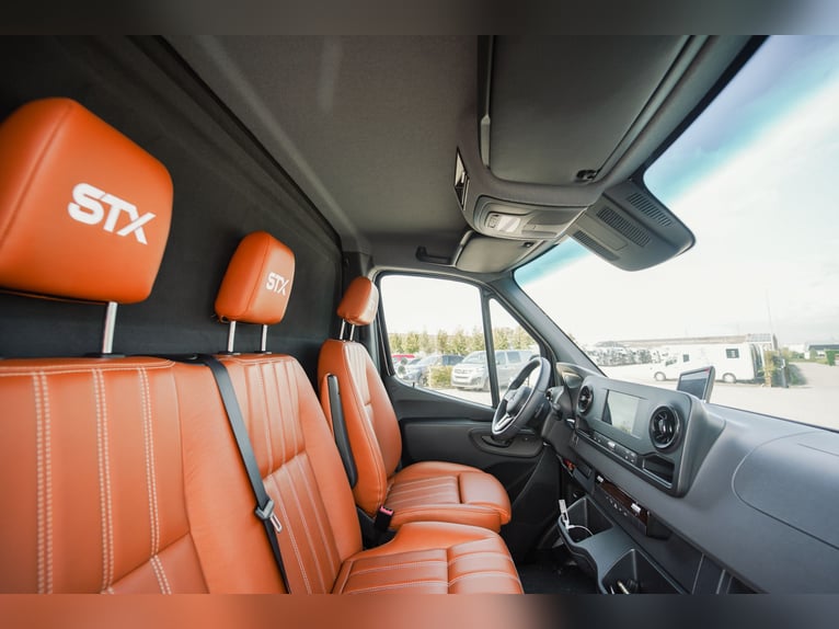 STX 2-Paard – Exclusieve Mercedes Sprinter