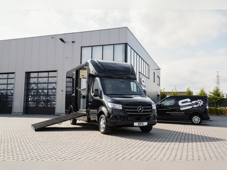 STX 2-Paard – Exclusieve Mercedes Sprinter