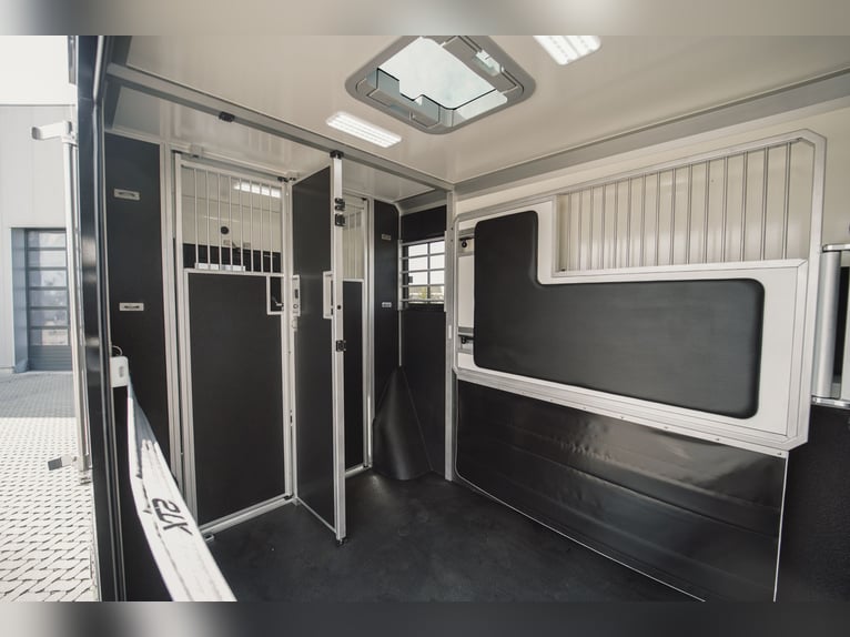 STX 2-Paard – Exclusieve Mercedes Sprinter