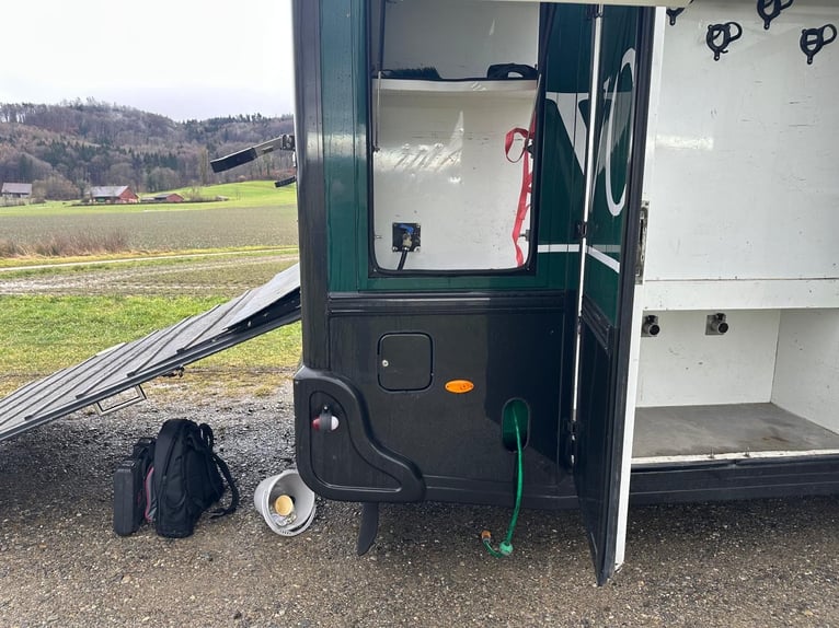 STX LKW Pferdewohnmobil Ivevo Stralis