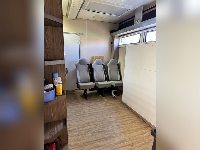 STX LKW Pferdewohnmobil Ivevo Stralis