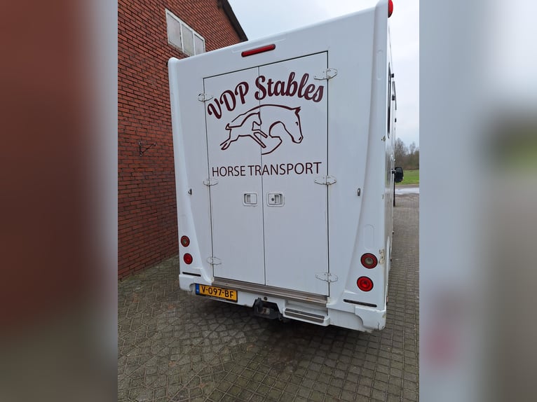 Theault Proteo Hengstenuitvoering Renault Master 2014  