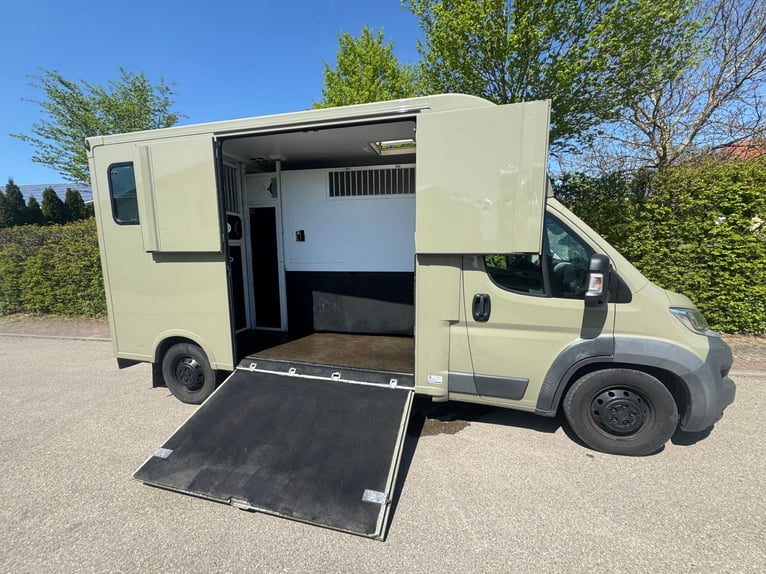 Top gebrauchte Pferdetransporter und Pferdeanhänger