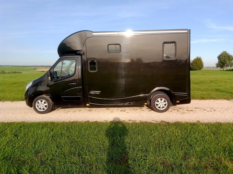 Top gebrauchte Pferdetransporter und Pferdeanhänger