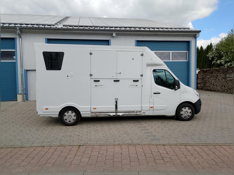 Top gebrauchte Pferdetransporter und Pferdeanhänger