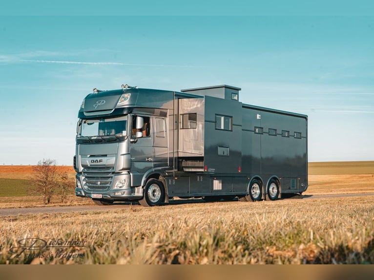 Top gebrauchte Pferdetransporter und Pferdeanhänger