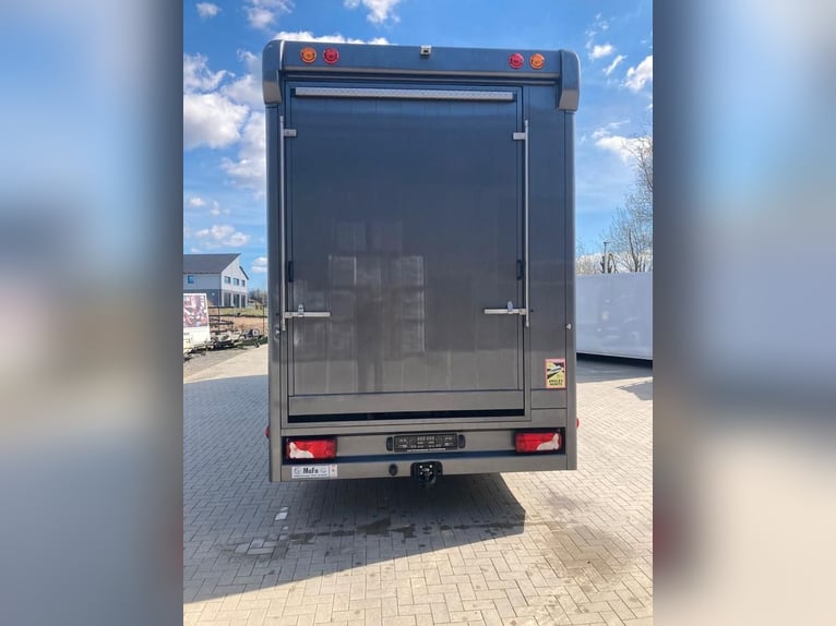MAN TGM paardenwagen 4-5 plaatsen, 14 ton, bouwjaar 2017, 290 pk, tweedehands