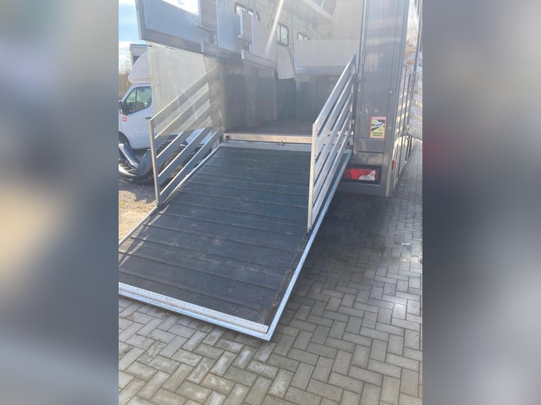 MAN TGM paardenwagen 4-5 plaatsen, 14 ton, bouwjaar 2017, 290 pk, tweedehands