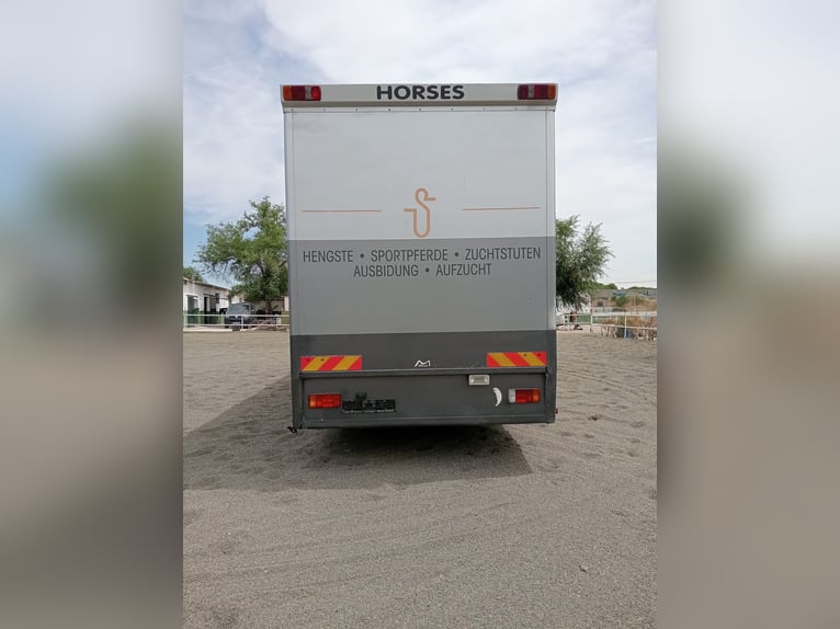 Vrachtwagen met woonruimte voor 6 paarden