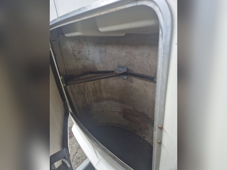 WESTFALIA Pferdeanhänger  mit neuem TÜV 