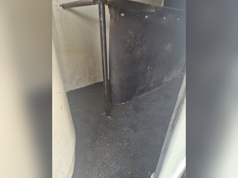 WESTFALIA Pferdeanhänger  mit neuem TÜV 